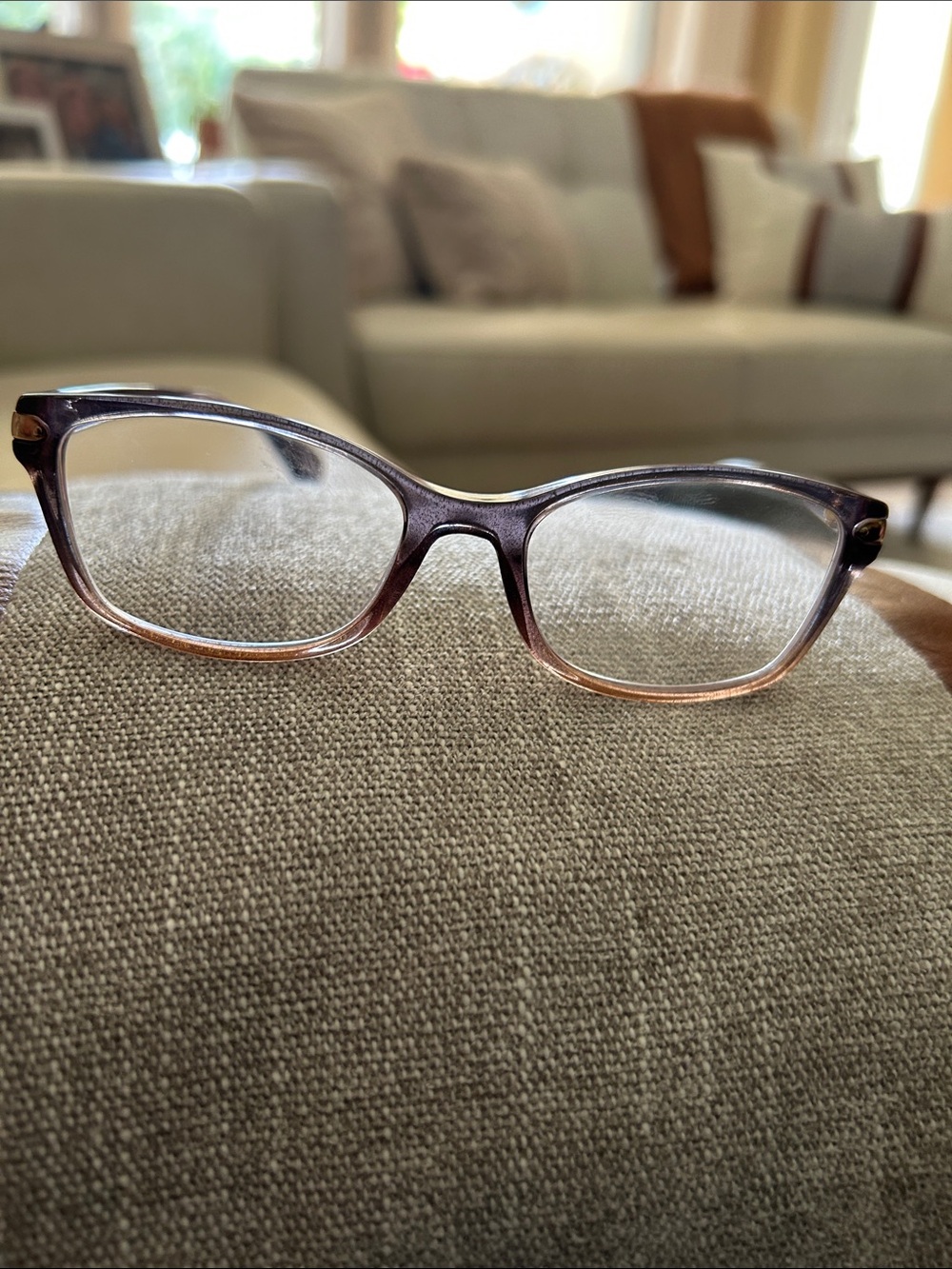COACH Translucent Gradient Eye Glasses